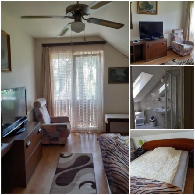Gödöllő Hegyesi Vendeghaz Bed & Breakfast エクステリア 写真